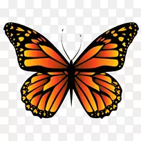 �������������ܶ�ëë��-��ɫ�����߽�-������