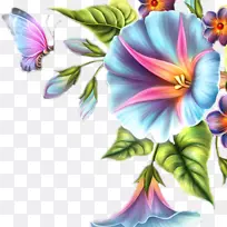 花卉设计、生日贺卡、礼品-生日-空若网 花卉设计、生日贺卡、礼品-生日-空若网