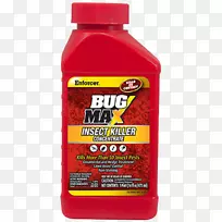 昆虫火蚁蟑螂跳蚤-空若网 昆虫火蚁蟑螂跳蚤-空若网