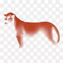 胡须、猫狗、犬科、鼻子-中盖-空若网 胡须、猫狗、犬科、鼻子-中盖-空若网