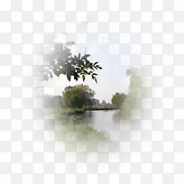 中心博客景观爱-人-空若网 中心博客景观爱-人-空若网