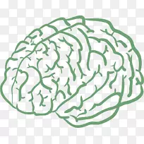 人脑画卡通AGY卡通手绘人脑-空若网 人脑画卡通AGY卡通手绘人脑-空若网