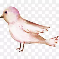 水彩画水彩花卉.设计-空若网 水彩画水彩花卉.设计-空若网