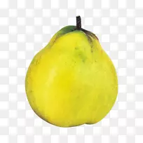 昆斯水果明胶甜点奥格里斯水果商业宣传图例-空若网 昆斯水果明胶甜点奥格里斯水果商业宣传图例-空若网