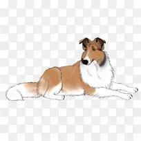 �ֲ�����Ȯ���������Ȯ�����⻬����Ȯ�ո�������Ȯ-����-������