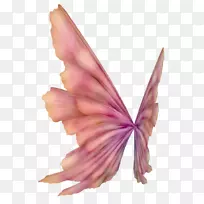 ������ë����-������