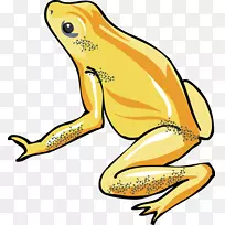 树蛙剪贴画-空若网 树蛙剪贴画-空若网