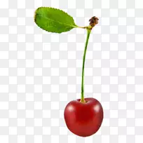 ��ӣ��ʳƷˮ��ӣ��-������