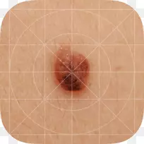 瓦圆角-空若网 瓦圆角-空若网