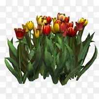 Óô½ðÏ㻨»¼ôÌù»-É£Ê÷-¿ÕÈôÍø Óô½ðÏ㻨»¼ôÌù»-É£Ê÷-¿ÕÈôÍø