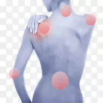 玫瑰纹身鸟翅膀人背鸟-空若网 玫瑰纹身鸟翅膀人背鸟-空若网