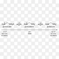 等电点甘氨酸氨基酸谷氨酸化学-空若网 等电点甘氨酸氨基酸谷氨酸化学-空若网