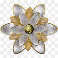 花瓣桌面壁纸剪贴画-花-空若网 花瓣桌面壁纸剪贴画-花-空若网