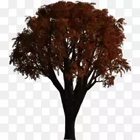 高清晰度电视摄像机剪辑艺术-空若网 高清晰度电视摄像机剪辑艺术-空若网