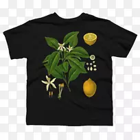 ����t��ñ������-������