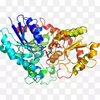 人体珠宝有机体线条剪贴画-紫花苜蓿-空若网 人体珠宝有机体线条剪贴画-紫花苜蓿-空若网