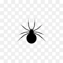 昆虫黑白图案-蜘蛛网图标-空若网 昆虫黑白图案-蜘蛛网图标-空若网