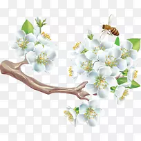 Adobe Acrobat pdf剪贴画-空若网 Adobe Acrobat pdf剪贴画-空若网