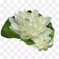 ���׻��̳�-��-������