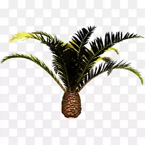 特罗巴树剪贴画树-空若网 特罗巴树剪贴画树-空若网