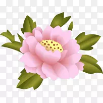 Nelumbo nucifera剪贴画-空若网 Nelumbo nucifera剪贴画-空若网