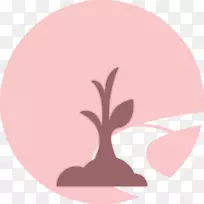 搜索引擎优化公司google商人数学优化-树苗-空若网 搜索引擎优化公司google商人数学优化-树苗-空若网