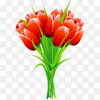 郁金香花束夹艺术-胃肠-空若网 郁金香花束夹艺术-胃肠-空若网