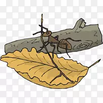 �����ϼ�����-������