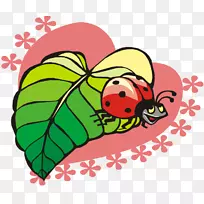 瓢虫动画昆虫剪贴画-空若网 瓢虫动画昆虫剪贴画-空若网