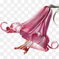 ��������������ưٺϻ�-������