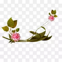 友谊贴纸博客-空若网 友谊贴纸博客-空若网