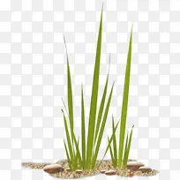 ɳɳ-¿ÕÈôÍø ɳɳ-¿ÕÈôÍø