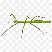 ���滭��-������