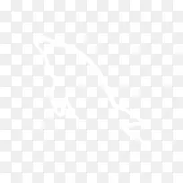 联合国大学计算机与社会学会电子邮件信息公司-电子邮件-空若网 联合国大学计算机与社会学会电子邮件信息公司-电子邮件-空若网