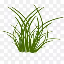 �ݻ���-������