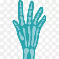 骨指骨骼-骨骼手掌-空若网 骨指骨骼-骨骼手掌-空若网