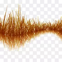 树封装的PostScript剪贴画树-空若网 树封装的PostScript剪贴画树-空若网
