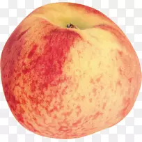 ���ҹ���-ʳ��-������