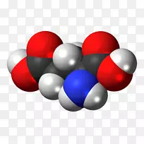 谷氨酸-谷氨酰胺-谷氨酸空间填充模型-空若网 谷氨酸-谷氨酰胺-谷氨酸空间填充模型-空若网