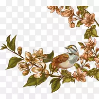 水彩画水彩画-空若网 水彩画水彩画-空若网