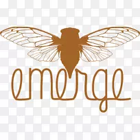 昆虫蝉-空若网 昆虫蝉-空若网