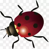 À¥³æ¼ÆËã»úÎļþ-À¥³æ-¿ÕÈôÍø À¥³æ¼ÆËã»úÎļþ-À¥³æ-¿ÕÈôÍø