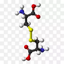 胱氨酸半胱氨酸slc7a11氨基酸-氨基酸-空若网 胱氨酸半胱氨酸slc7a11氨基酸-氨基酸-空若网