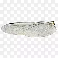 ��������Ѻ�����-����-������