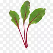 甜菜叶蔬菜普通甜菜沙拉-空若网 甜菜叶蔬菜普通甜菜沙拉-空若网