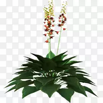 花卉设计花卉剪贴画-空若网 花卉设计花卉剪贴画-空若网