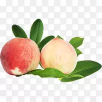 ���ҹ�ʵ-������