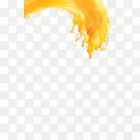 ³ÈÖ£¬Æ»¹ûÖ£¬ÆÏÌÑèÖÖ£¬²Ýݮ֣¬³ÈÖ-¿ÕÈôÍø ³ÈÖ£¬Æ»¹ûÖ£¬ÆÏÌÑèÖÖ£¬²Ýݮ֣¬³ÈÖ-¿ÕÈôÍø