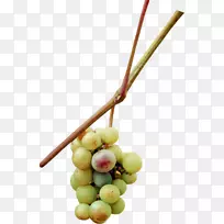 ÆÏÌѹûʵ-¿ÕÈôÍø ÆÏÌѹûʵ-¿ÕÈôÍø