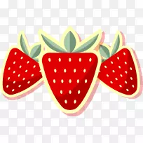 ֥ʿ�����ݮ������ͼ-��ɫ��ͨ��ݮ-������